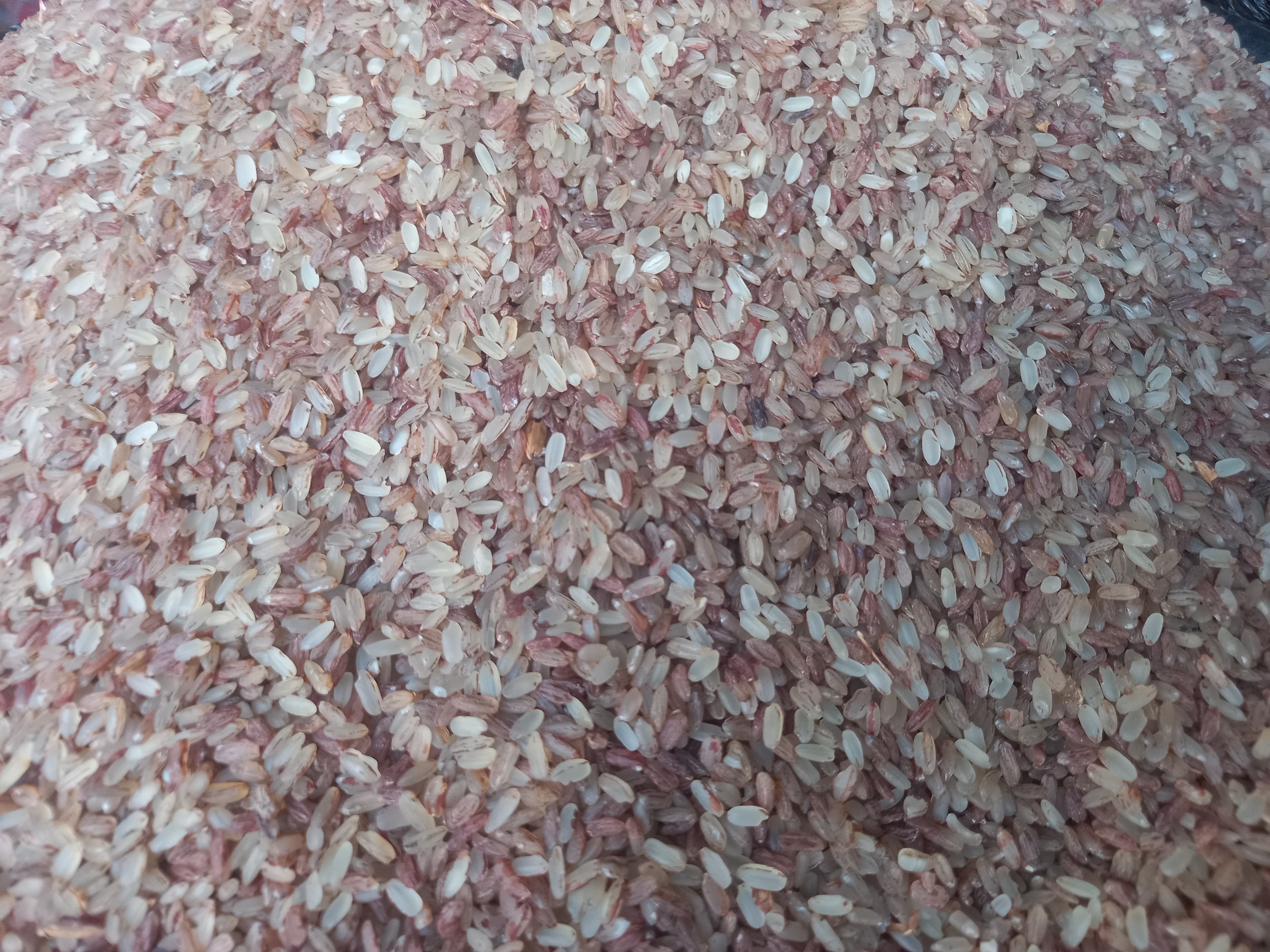 image of Ofada rice