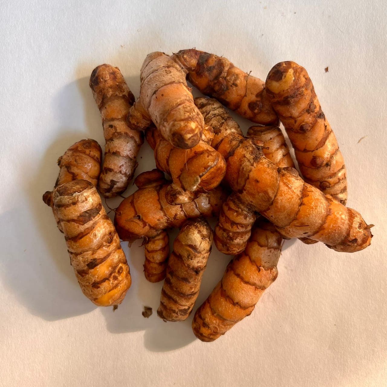 image of Fresh Tumeric - 8 Pieces