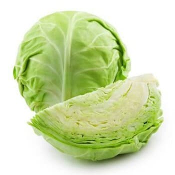 image of Freshly Sliced Cabbage - White/Green