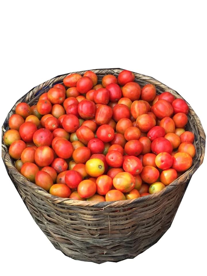 image of Fresh Tomatoes (1 Basket)