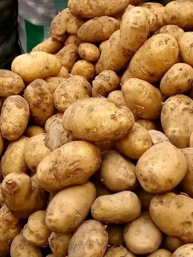 Irish potato